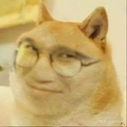  你经常会发的沙雕表情包是哪几张