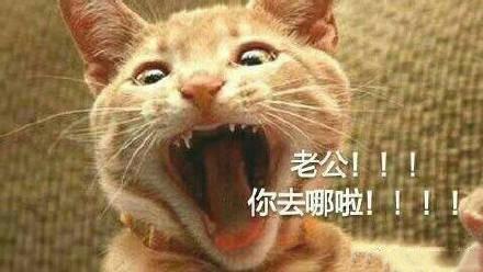  老公不见了的表情包我老公丢了,我找我老公,我老公没有了