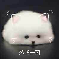  我是一个新手,想写小说,但不知道怎么写