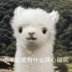  表情包小羊驼能有什么坏心眼呢