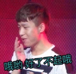  表情包带师厂长与马哥表情包大合集
