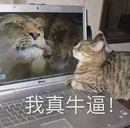  网友们的高能社交操作,令人看了很难不惊叹,我也想要社交牛逼症