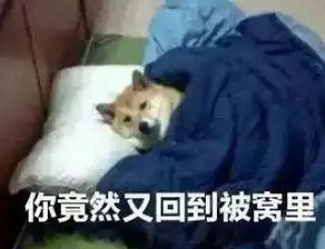 应该规定冬天禁止起床上热搜,说出你的心里话了吗