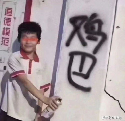  微信表情包图片聊天斗图你怕了吗