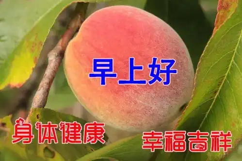  11月24日最漂亮早上好动态表情图片大全,早晨好动图美图大全