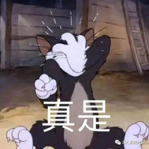  攀高枝的独立女性这么喜欢教人做事吗