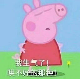  这些新闻竟然不是段子...