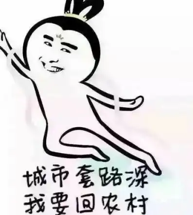  城市套路深我要回农村下一句是农村路也滑人心更复杂什么梗