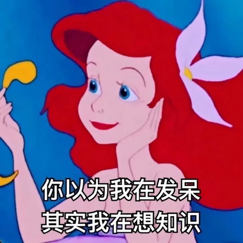  可爱沙雕表情包宝贝,来不及解释了,快上车