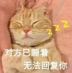  表情包丨你就是嘴硬,欠吻