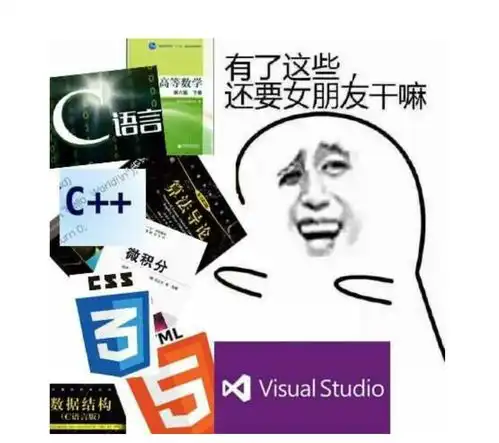 我爱学习的表情包程序员