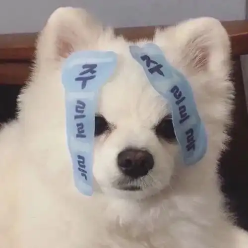 贴吧表情头像大全搞笑狗