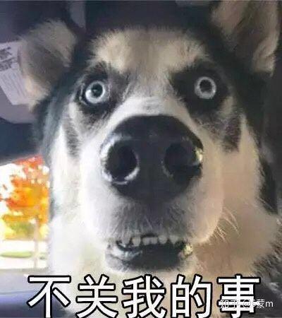  装修