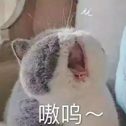  时尚圈编辑生存指南之诉苦实录