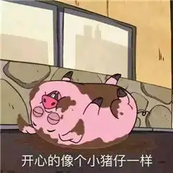  见过那么多猪,还是你最可爱