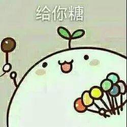 花花送给你表情包糖糖