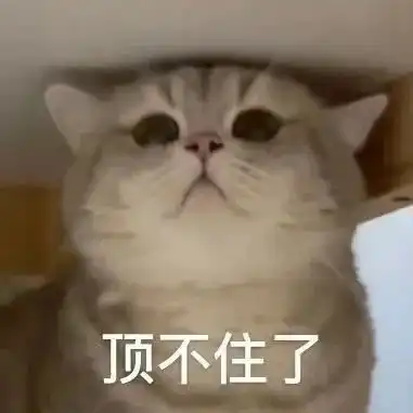 沙雕表情包和姐妹速聊对策 沙雕表情包和姐妹速聊对策