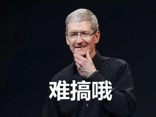  普京正式确认苹果将遭遇信任危机库克会如何选