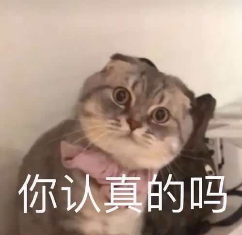  越欺负你说明越在乎你的几大星座男,口是心非的小坏蛋