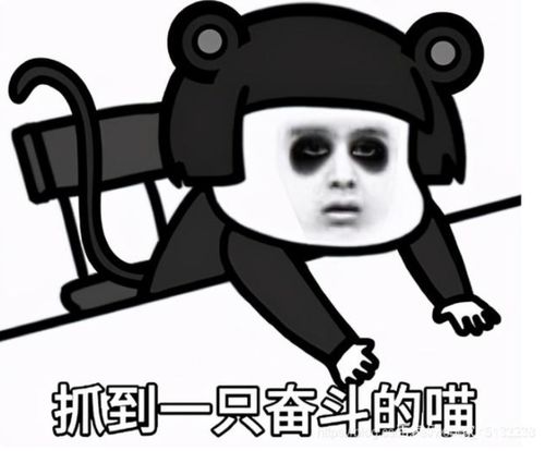 没得钱钱表情包高频