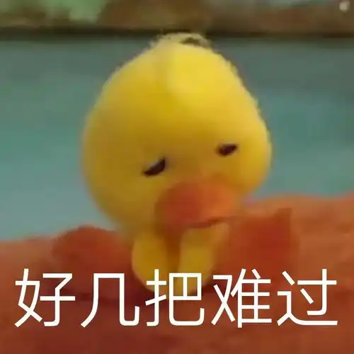 有这种小黄鸭的表情包么,谢谢  有这种小黄鸭的表情包么,谢谢