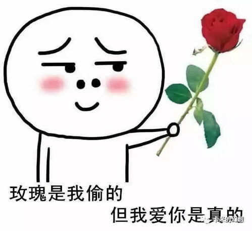 爱会消失吗表情包我爱你