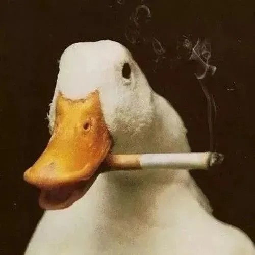  微信搞怪沙雕头像