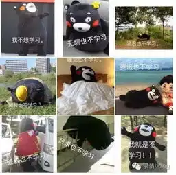  当一辈子的文案,也干不过一个表情包