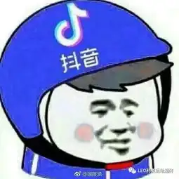  最全头盔头像,商标头盔,外卖头盔头像合集