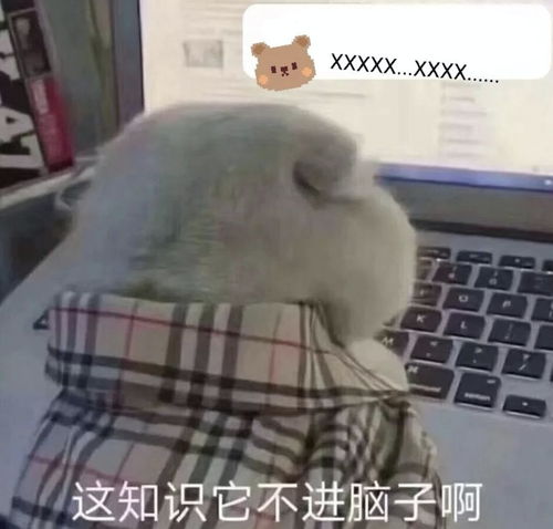  开学第一个月,数学各版本教材应该怎么学