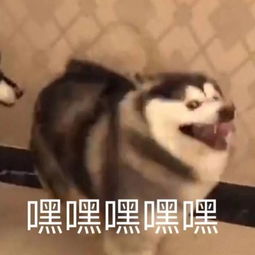  看电影到底需不需要带身份证