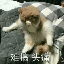  张丹峰终于回应了比男人出轨更可怕的,是这一点
