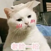  不好意思图片表情带字