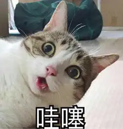 算我求你的表情包猫男朋