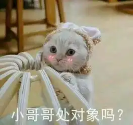 萌宠表情包堆糖,美好生活研究所