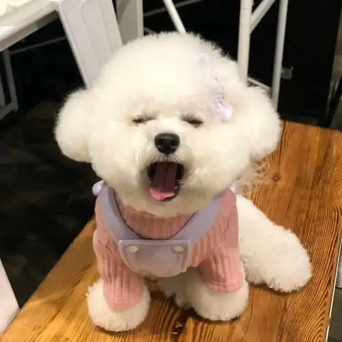  头像一眼心动的微信头像