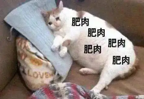  表情包日常搞笑表情,干饭了干饭了,一身肥肉