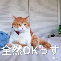 lol等输等等再输表情包