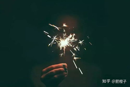  我想要一颗西柚