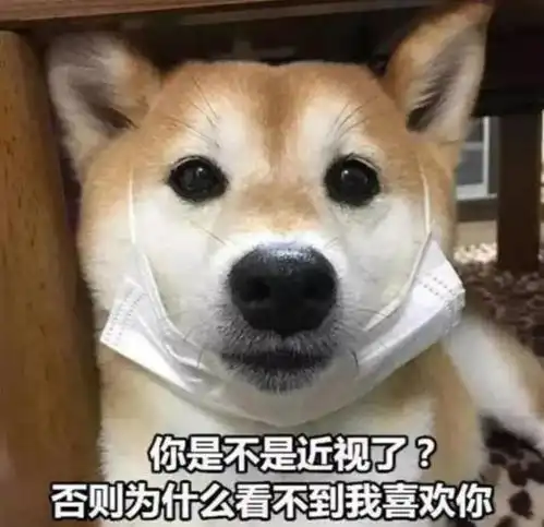  我向当医生的女友求婚,你做ct都把我看guang了,要对我负责
