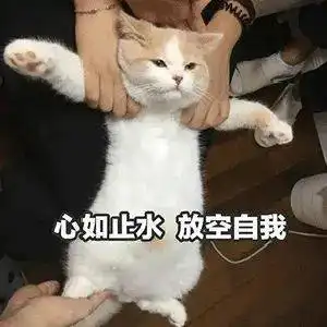 我要个性网表情包主子