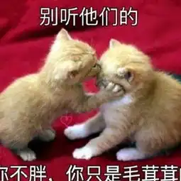 我要个性网表情包微信