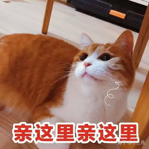  如何正确使用博乐达水杨酸面膜大概要多久才起效