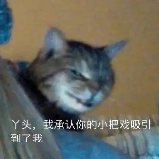  微信沙雕聊天表情包说吧加哪个