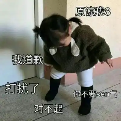 funny表情包萌新