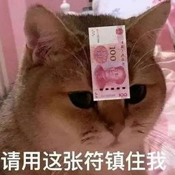  暑假的每一天,都是钱钱钱钱钱钱钱钱钱