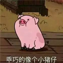  昆明少儿法语梓润推荐法语动画片