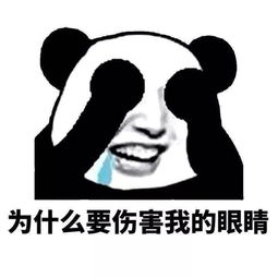  江上说钱律师,您也在北京十五中博物馆办过展览呀