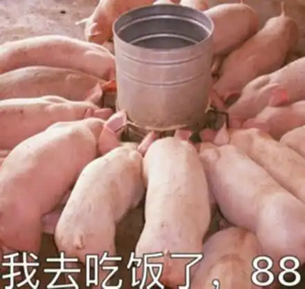 是不是想斗图表情包嬉皮笑脸