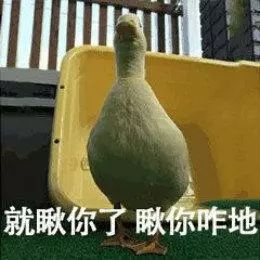  一直很多火的
